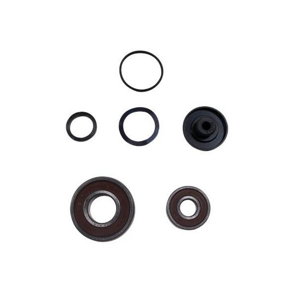 Pump Repair Kits- Kit, Ball Bearing 6204.SYN/6201.SYN Maer, Spare Part.